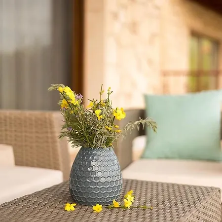 度假居 Natalia 阿菲托斯